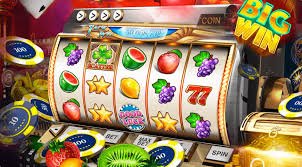 5567 bet