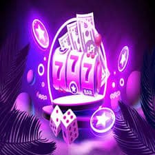 5567 bet