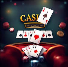 5567 bet